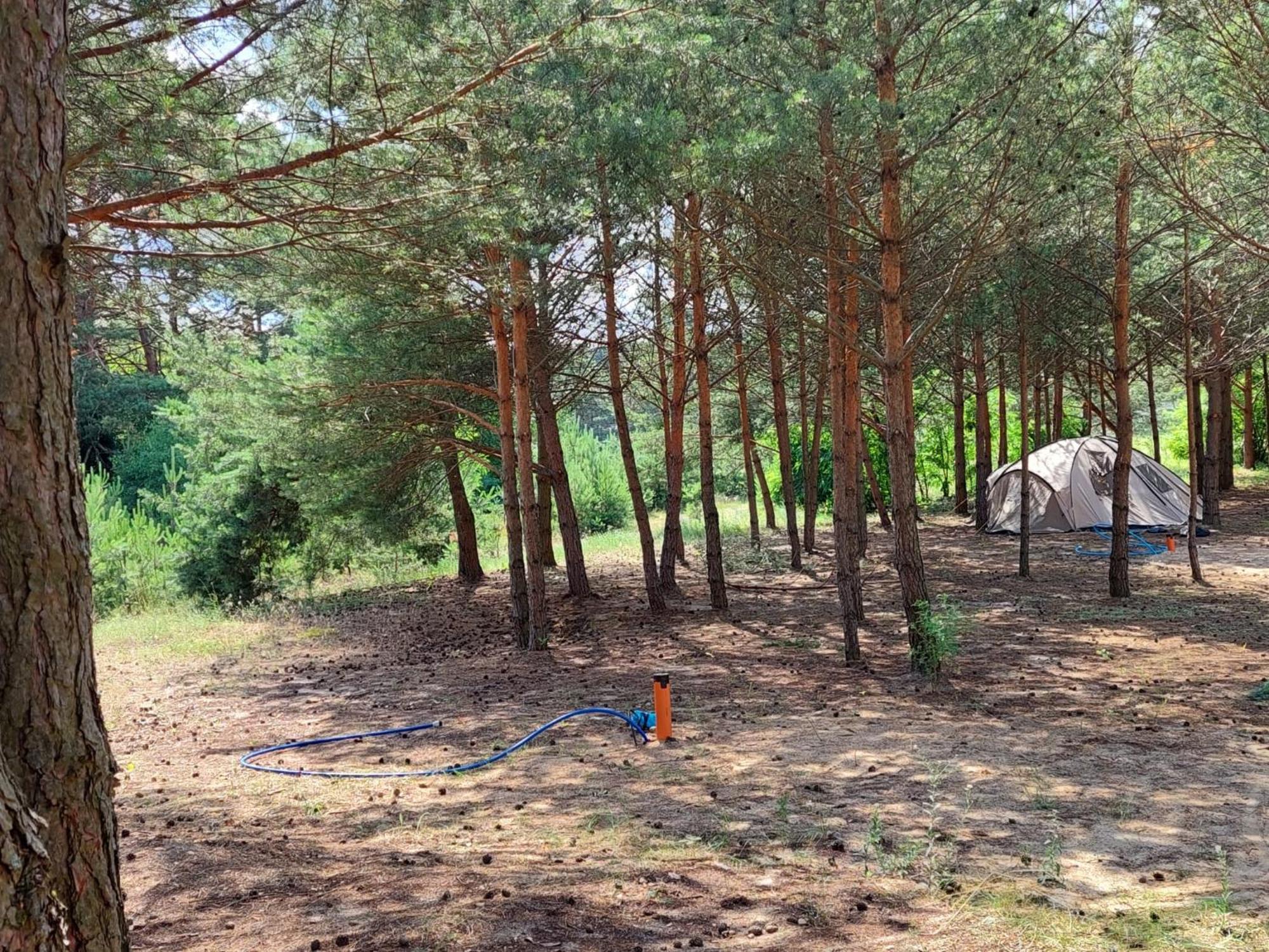 Holenderki Na Zielonych Wzgorzach, Lowyn Exterior photo